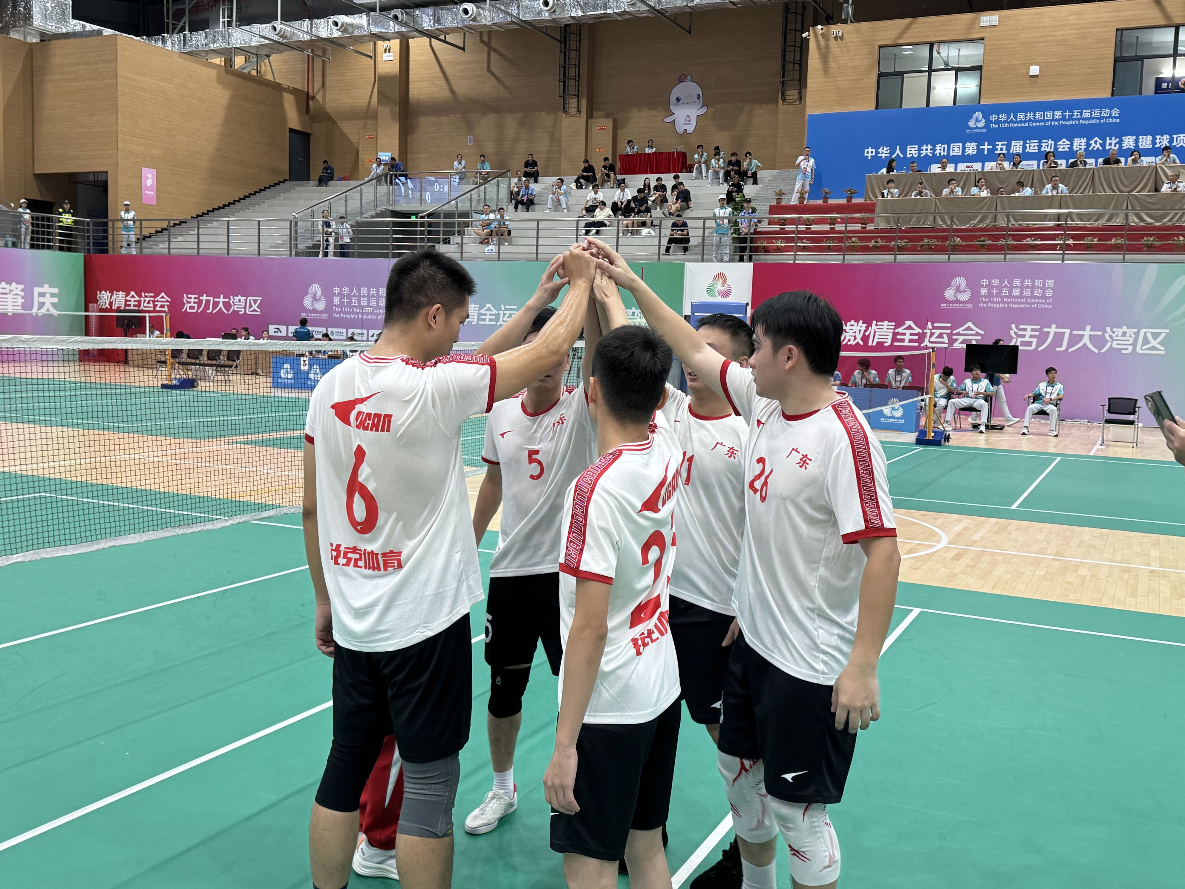 十五运会群, msn, 十五运会毽